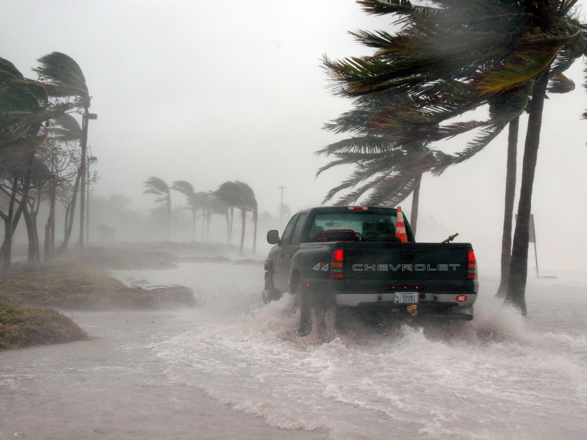 A pickup truck drives through floodwater on a coastal road as strong winds bend palm trees during a storm, highlighting the resilience needed in professional services executive search during turbulent times.